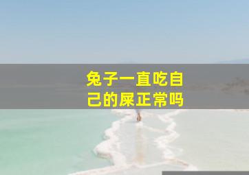 兔子一直吃自己的屎正常吗