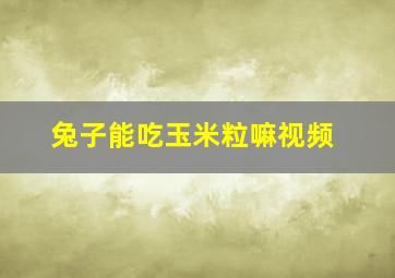 兔子能吃玉米粒嘛视频