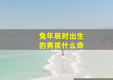 兔年辰时出生的男孩什么命