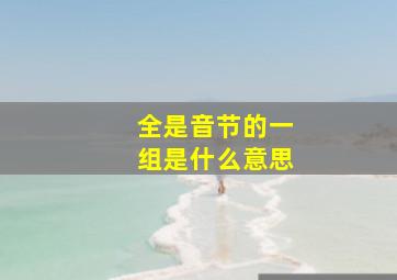 全是音节的一组是什么意思