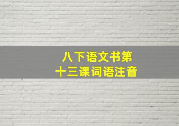 八下语文书第十三课词语注音