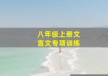 八年级上册文言文专项训练