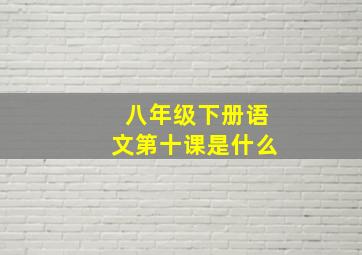 八年级下册语文第十课是什么