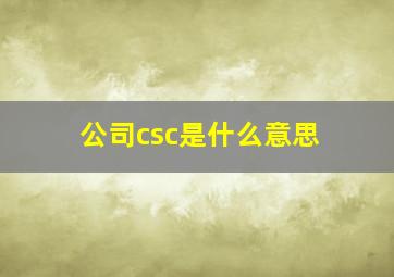 公司csc是什么意思