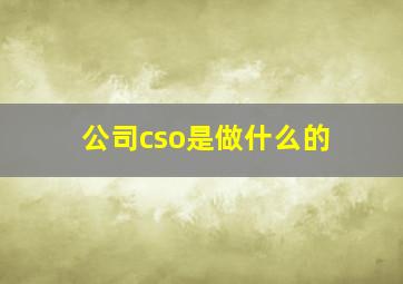 公司cso是做什么的