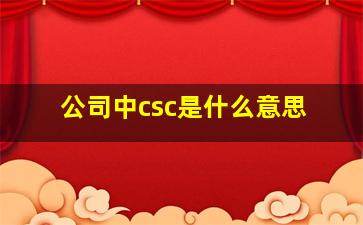 公司中csc是什么意思