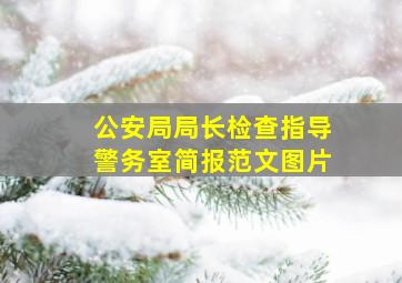 公安局局长检查指导警务室简报范文图片