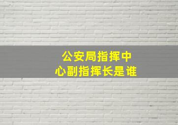 公安局指挥中心副指挥长是谁