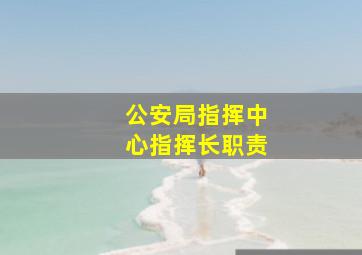 公安局指挥中心指挥长职责