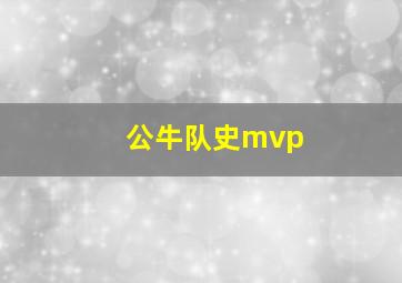 公牛队史mvp