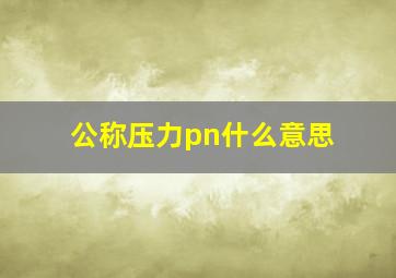 公称压力pn什么意思