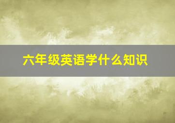 六年级英语学什么知识