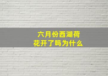 六月份西湖荷花开了吗为什么