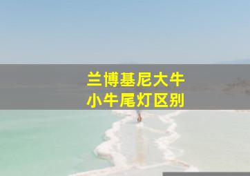 兰博基尼大牛小牛尾灯区别