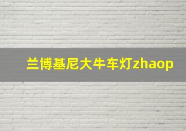 兰博基尼大牛车灯zhaop