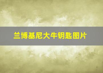 兰博基尼大牛钥匙图片