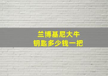 兰博基尼大牛钥匙多少钱一把