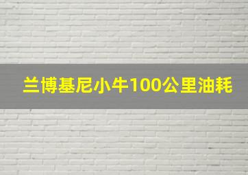 兰博基尼小牛100公里油耗