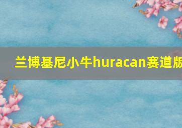 兰博基尼小牛huracan赛道版