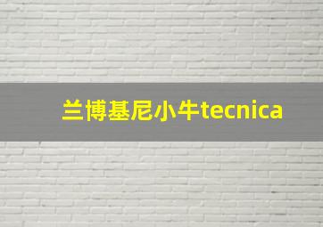 兰博基尼小牛tecnica