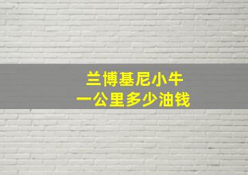 兰博基尼小牛一公里多少油钱