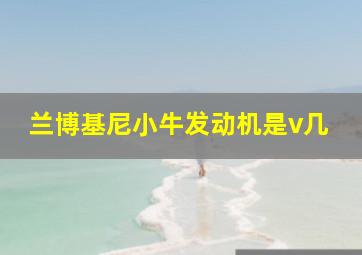 兰博基尼小牛发动机是v几