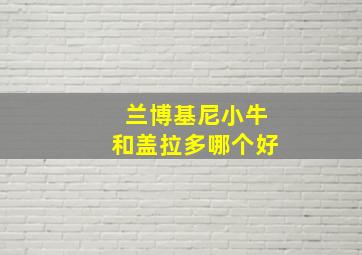 兰博基尼小牛和盖拉多哪个好