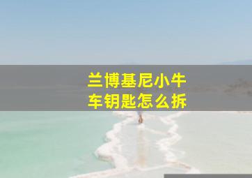 兰博基尼小牛车钥匙怎么拆