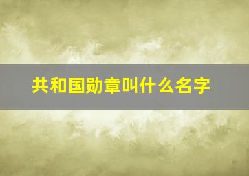 共和国勋章叫什么名字