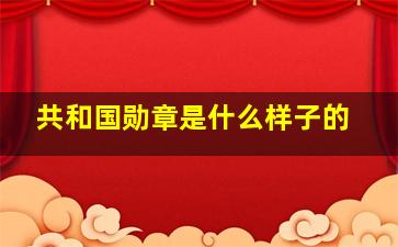 共和国勋章是什么样子的