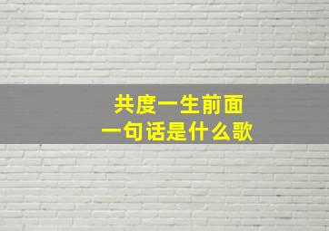 共度一生前面一句话是什么歌