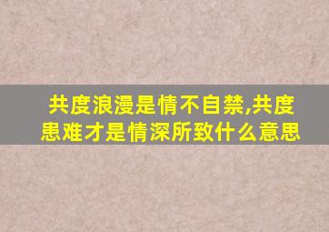 共度浪漫是情不自禁,共度患难才是情深所致什么意思