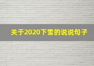 关于2020下雪的说说句子