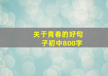 关于青春的好句子初中800字