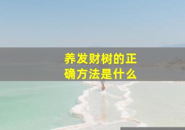 养发财树的正确方法是什么