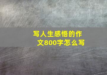 写人生感悟的作文800字怎么写