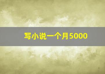 写小说一个月5000