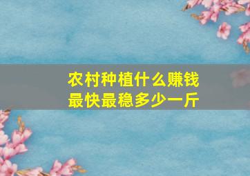 农村种植什么赚钱最快最稳多少一斤