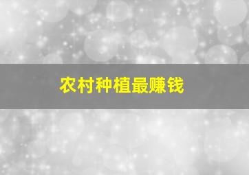 农村种植最赚钱