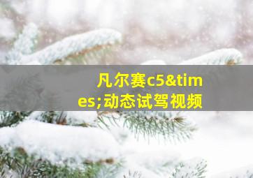 凡尔赛c5×动态试驾视频