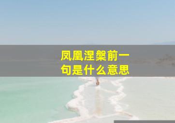 凤凰涅槃前一句是什么意思