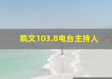 凯文103.8电台主持人