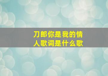 刀郎你是我的情人歌词是什么歌