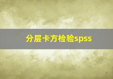 分层卡方检验spss