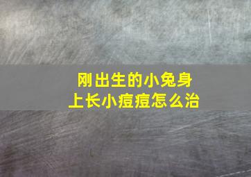 刚出生的小兔身上长小痘痘怎么治