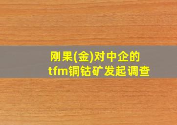 刚果(金)对中企的tfm铜钴矿发起调查