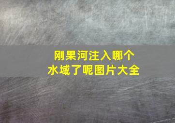 刚果河注入哪个水域了呢图片大全