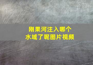 刚果河注入哪个水域了呢图片视频