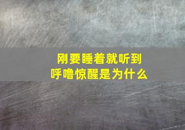 刚要睡着就听到呼噜惊醒是为什么