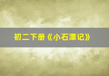 初二下册《小石潭记》